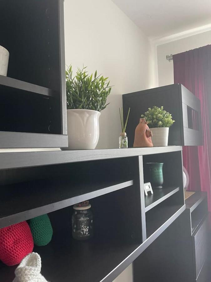 Studio Viva - Cosy Flat In Budapest - Free Parking Exteriör bild