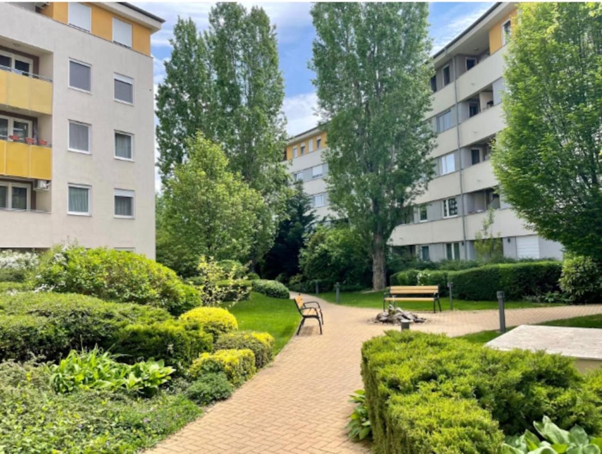 Studio Viva - Cosy Flat In Budapest - Free Parking Exteriör bild