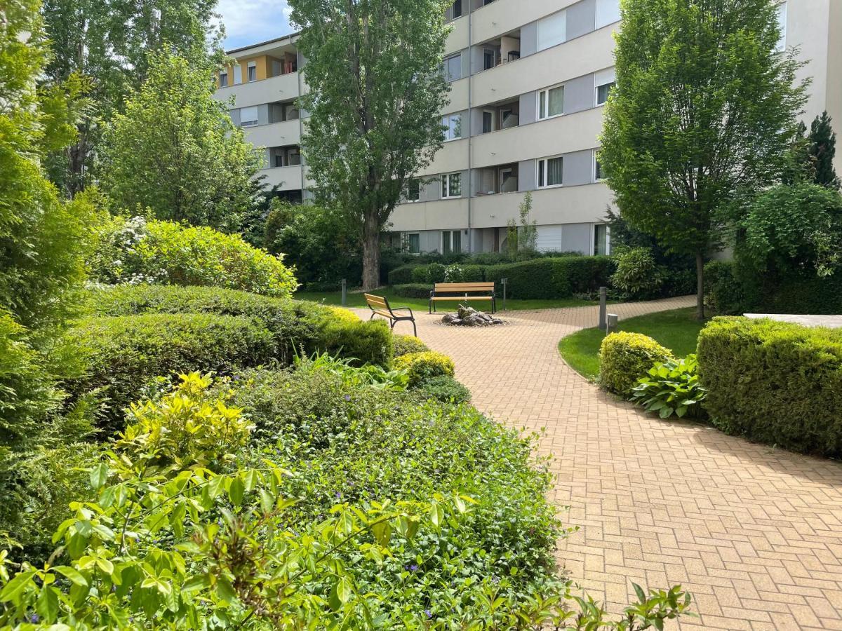 Studio Viva - Cosy Flat In Budapest - Free Parking Exteriör bild