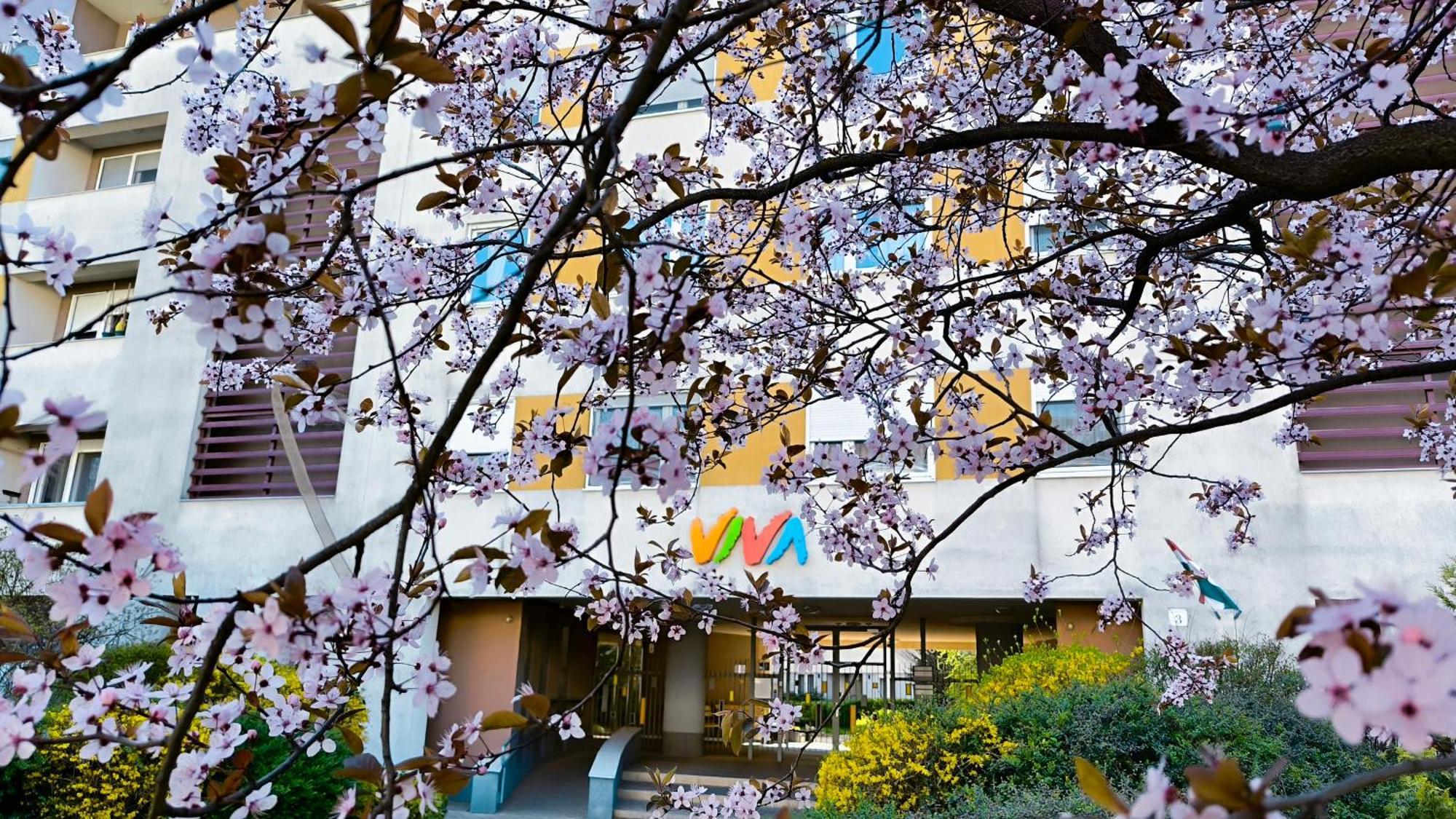 Studio Viva - Cosy Flat In Budapest - Free Parking Exteriör bild