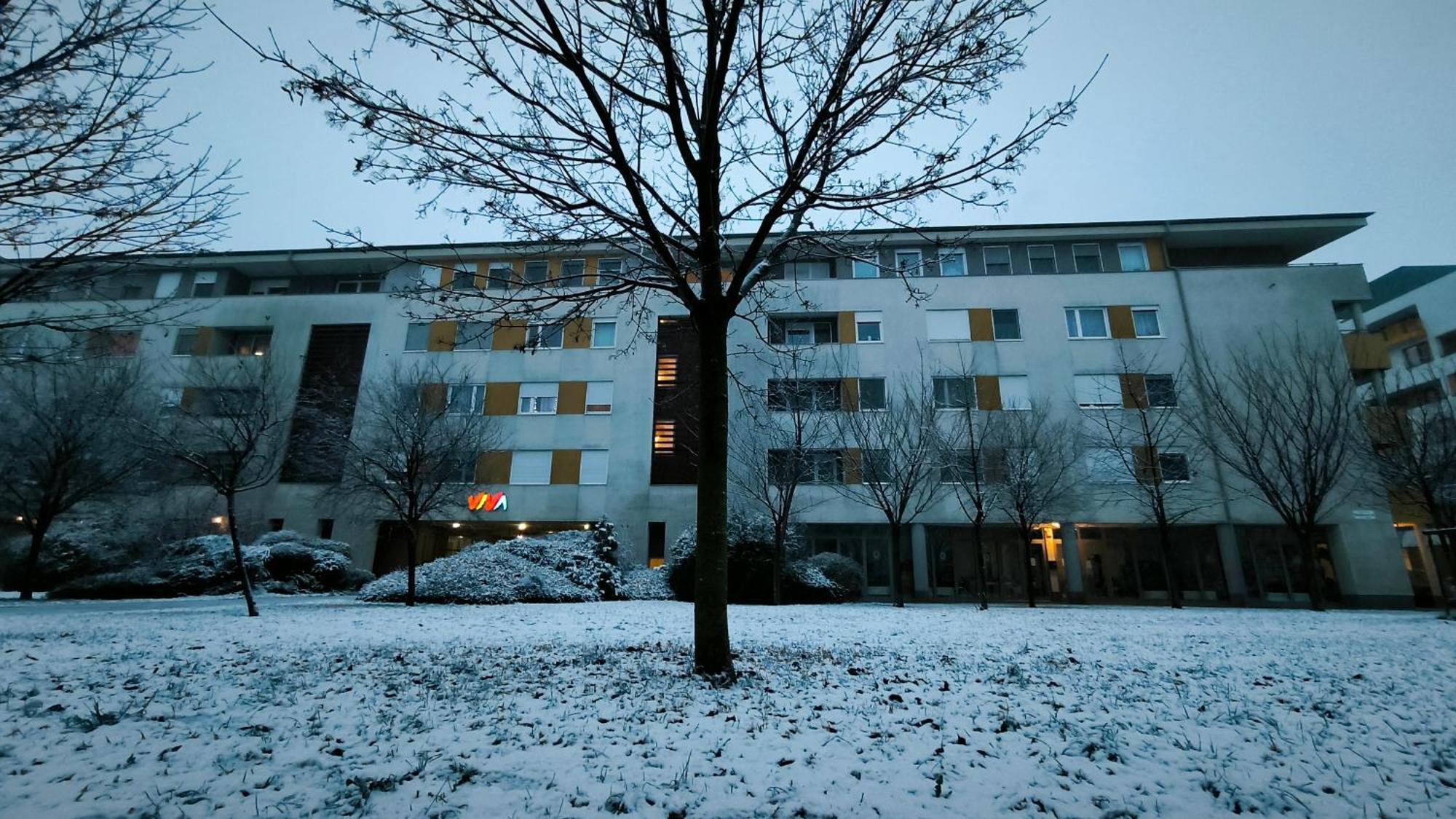 Studio Viva - Cosy Flat In Budapest - Free Parking Exteriör bild