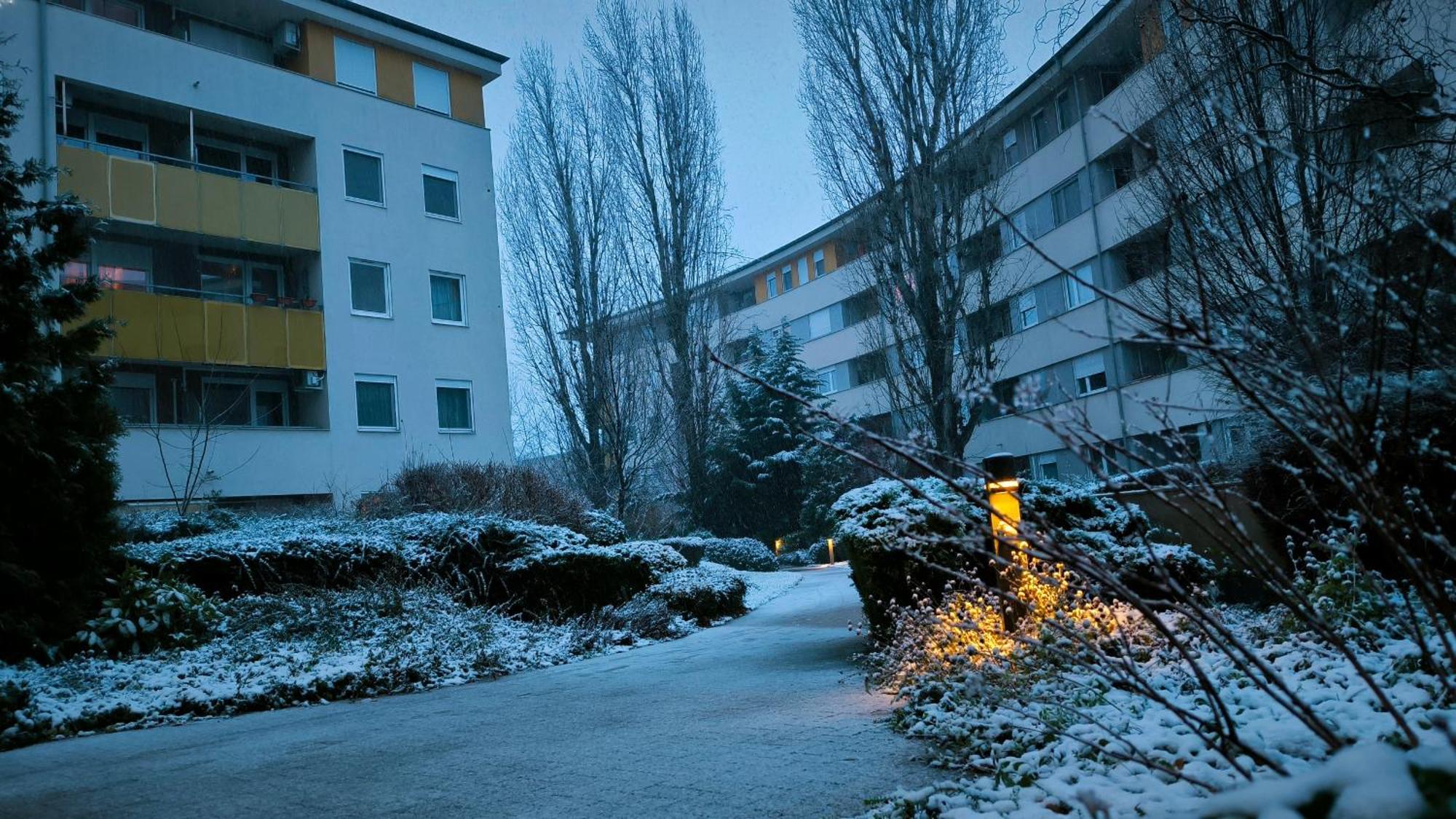 Studio Viva - Cosy Flat In Budapest - Free Parking Exteriör bild